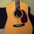 martin01.jpg